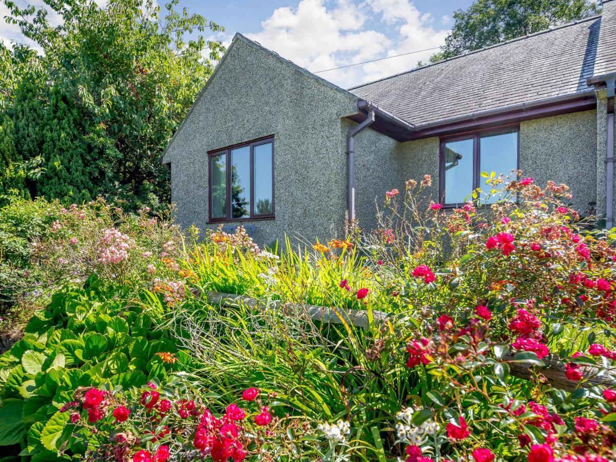 Llety Nest Villa Llanfachreth Eksteriør billede